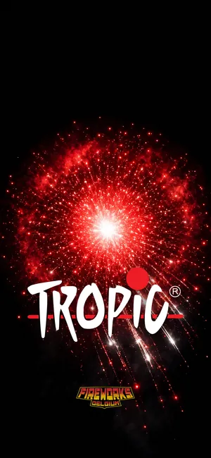 Handy-Hintergrund – Motiv TROPIC
