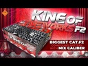 135. King fireworks 223, 223 Schuss