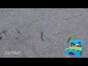 youtube - [Video]