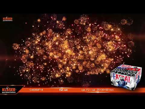 youtube - [Video]