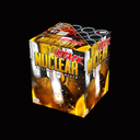 Nuclear attack · 16 Schuss